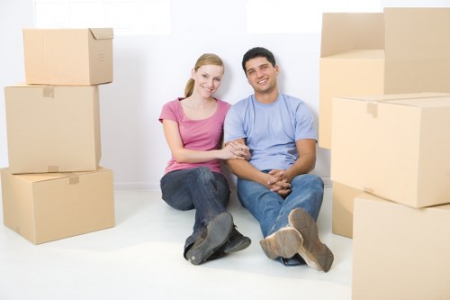 Professional removal services in Manvan with moving van and packed boxes