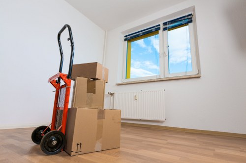 Careful packing materials for a domestic move